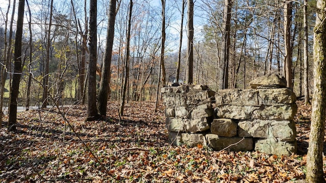 0 Whites Creek Pike, Whites Creek, TN 37189 - photo 26