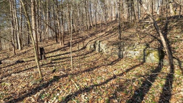 0 Whites Creek Pike, Whites Creek, TN 37189 - photo 27