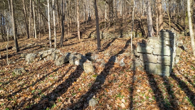 0 Whites Creek Pike, Whites Creek, TN 37189 - photo 15