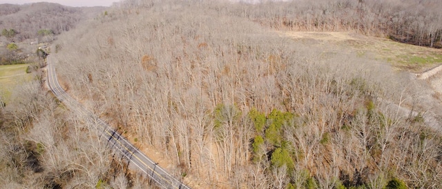 0 Whites Creek Pike, Whites Creek, TN 37189 - photo 6