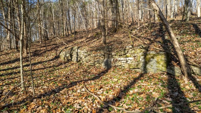 0 Whites Creek Pike, Whites Creek, TN 37189 - photo 28