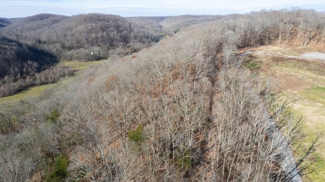 0 Whites Creek Pike, Whites Creek, TN 37189 - photo 23