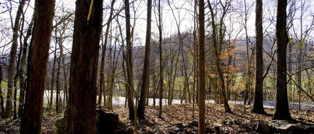 0 Whites Creek Pike, Whites Creek, TN 37189 - photo 12