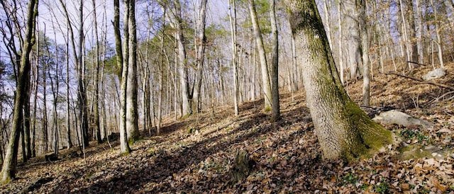 0 Whites Creek Pike, Whites Creek, TN 37189 - photo 7