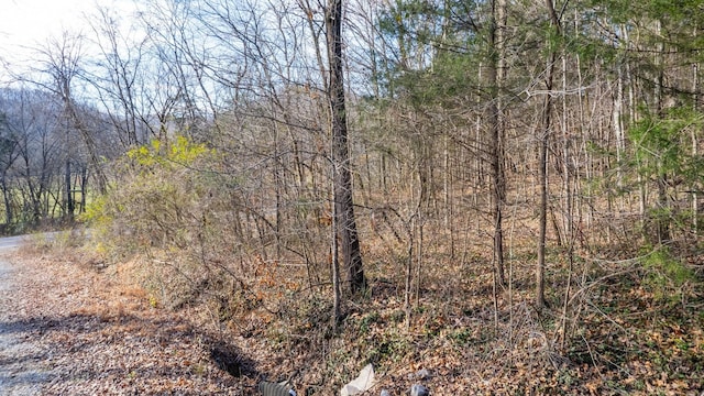 0 Whites Creek Pike, Whites Creek, TN 37189 - photo 32