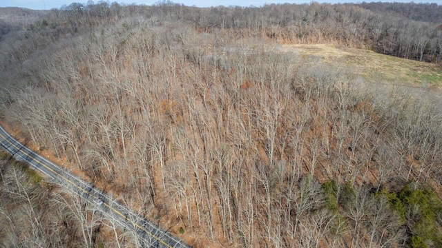 0 Whites Creek Pike, Whites Creek, TN 37189 - photo 29
