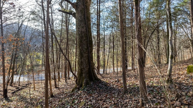 0 Whites Creek Pike, Whites Creek, TN 37189 - photo 4