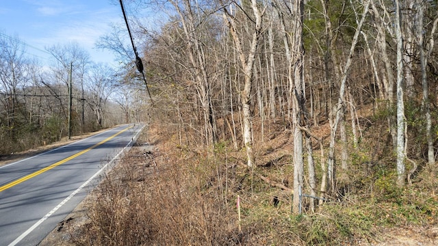 0 Whites Creek Pike, Whites Creek, TN 37189 - photo 2