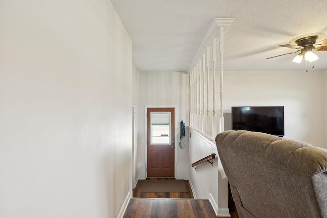 1651 Caughran Rd, Lewisburg, TN 37091 - entrance foyer with wood finished floors, ceiling fan, and a textured ceiling