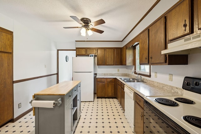 1651 Caughran Rd, Lewisburg, TN 37091 - kitchen with white appliances, light flooring, under cabinet range hood, ceiling fan, and butcher block countertops