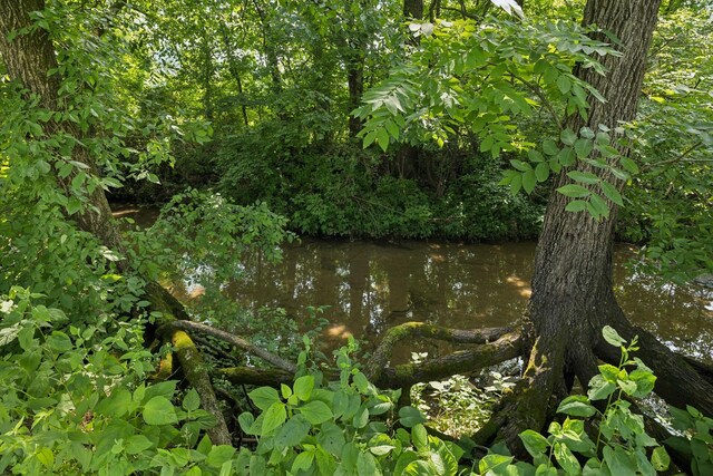 1651 Caughran Rd, Lewisburg, TN 37091 - view of nature featuring a nearby body of water