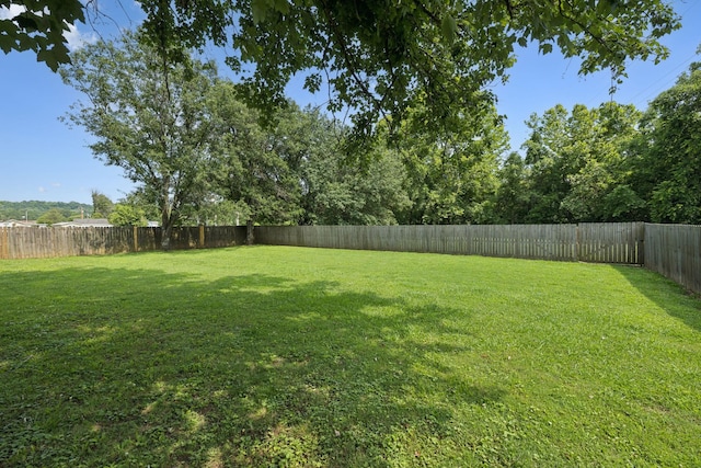 1651 Caughran Rd, Lewisburg, TN 37091 - view of fenced backyard