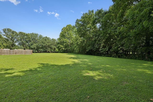 1651 Caughran Rd, Lewisburg, TN 37091 - view of yard