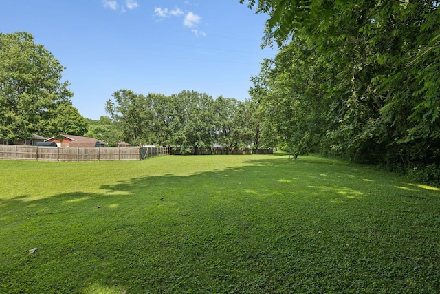 1651 Caughran Rd, Lewisburg, TN 37091 - view of yard