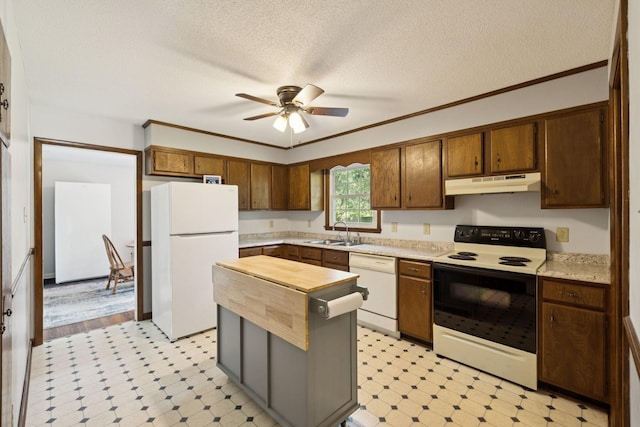 1651 Caughran Rd, Lewisburg, TN 37091 - kitchen with white appliances, under cabinet range hood, light floors, a ceiling fan, and a textured ceiling