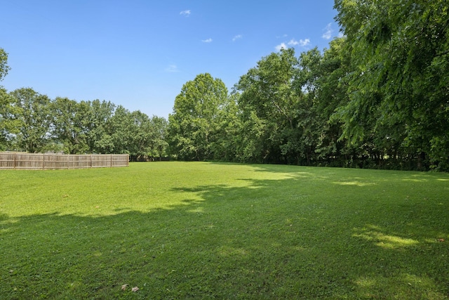 1651 Caughran Rd, Lewisburg, TN 37091 - view of yard