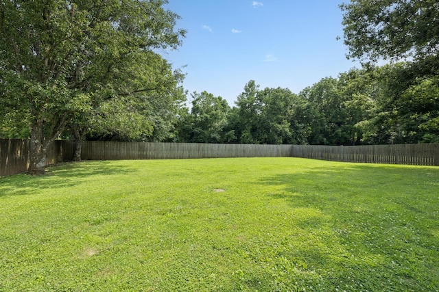 1651 Caughran Rd, Lewisburg, TN 37091 - view of fenced backyard