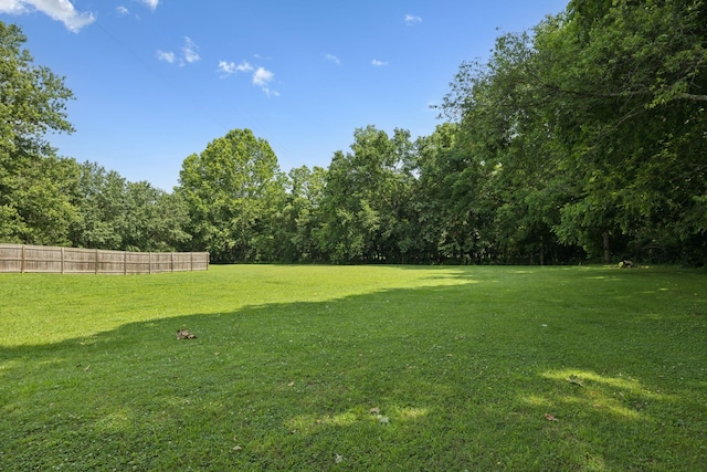 1651 Caughran Rd, Lewisburg, TN 37091 - view of yard