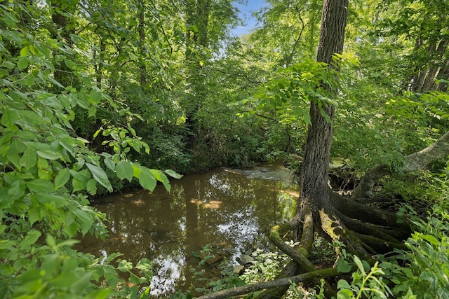 1651 Caughran Rd, Lewisburg, TN 37091 - view of undeveloped land