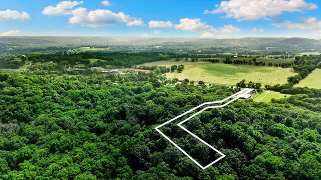 2113 Culleoka Hwy, Culleoka, TN 38451 - view of property location featuring property boundaries highlighted and a forest