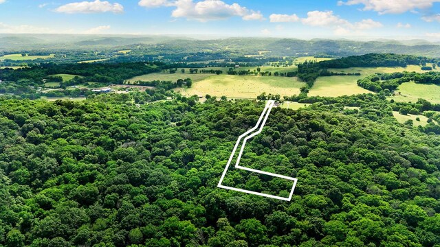2113 Culleoka Hwy, Culleoka, TN 38451 - aerial view of property's location with property parcel outlined and a heavily wooded area