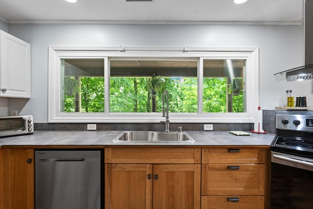 2113 Culleoka Hwy, Culleoka, TN 38451 - kitchen with appliances with stainless steel finishes, ornamental molding, healthy amount of natural light, exhaust hood, and white cabinets