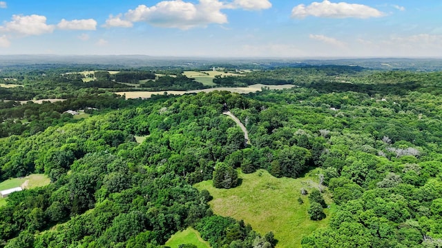 2113 Culleoka Hwy, Culleoka, TN 38451 - drone / aerial view of a forest