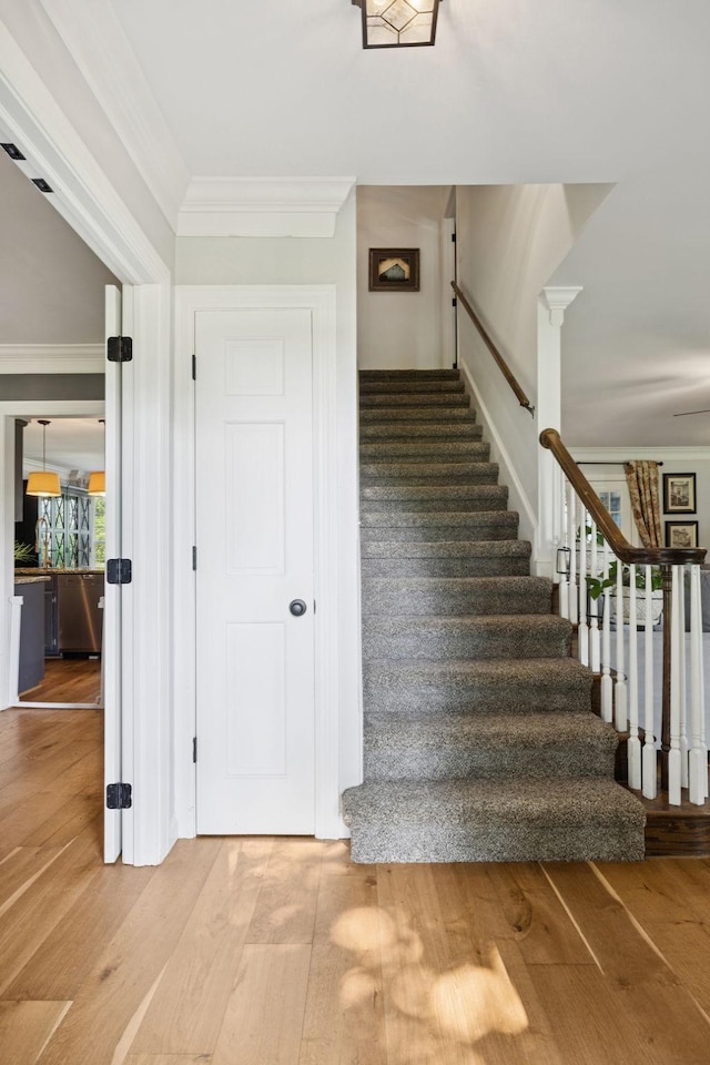 308 Cotton Ln, Franklin, TN 37069 - photo 6