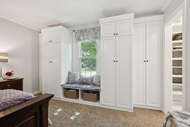 308 Cotton Ln, Franklin, TN 37069 - photo 35