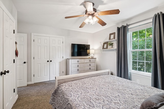 308 Cotton Ln, Franklin, TN 37069 - photo 46