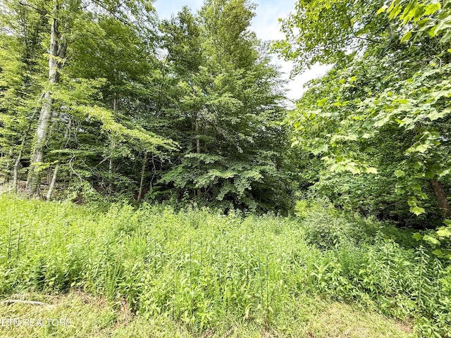 117 Cherry Oak Dr, Oak Ridge, TN 37830