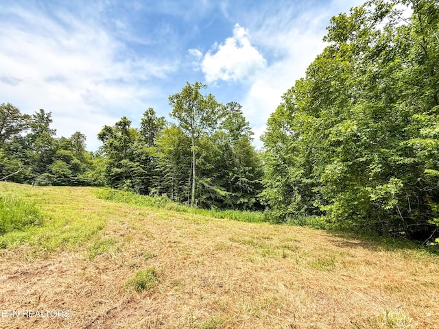 117 Cherry Oak Dr, Oak Ridge, TN 37830