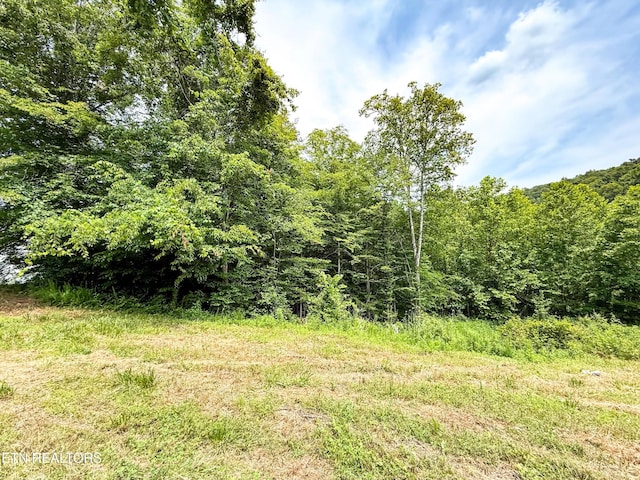 117 Cherry Oak Dr, Oak Ridge, TN 37830