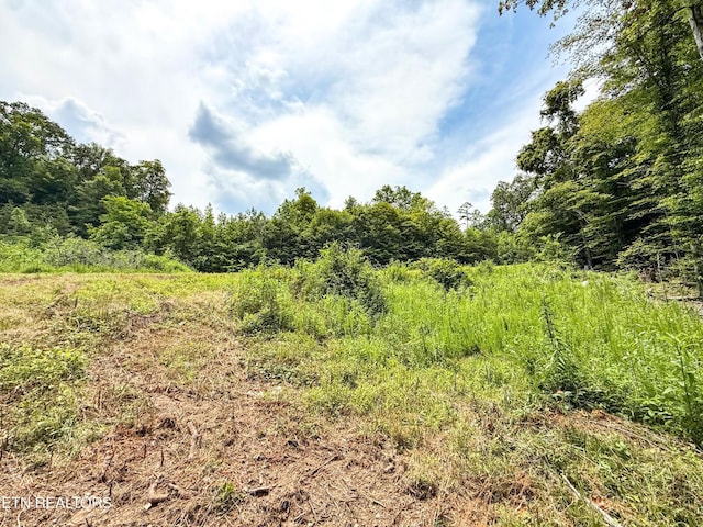 117 Cherry Oak Dr, Oak Ridge, TN 37830