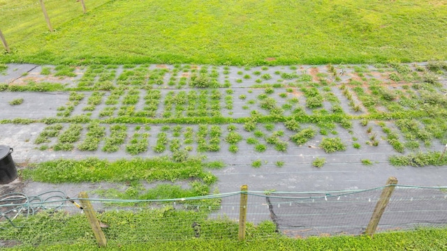 3037 Tunnel Rd, Westmoreland, TN 37186 - view of yard