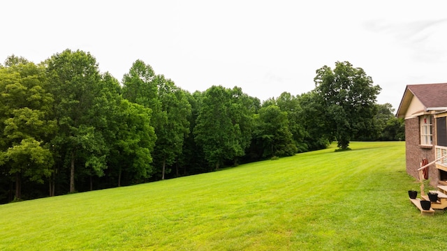 3037 Tunnel Rd, Westmoreland, TN 37186 - view of grassy yard