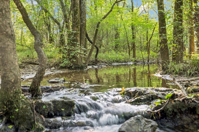 1485 Harrison Rd, Murfreesboro, TN 37128 - water view featuring a forest