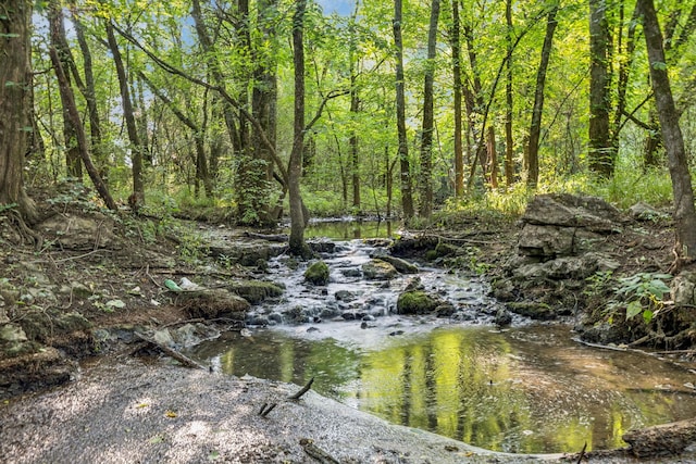 1485 Harrison Rd, Murfreesboro, TN 37128 - view of undeveloped land