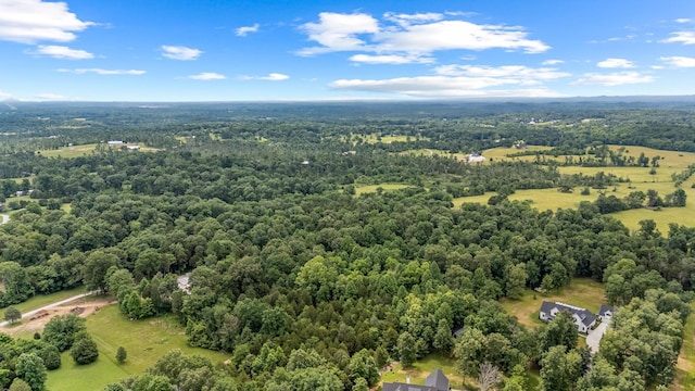 0 Lasea Rd, Spring Hill, TN 37174