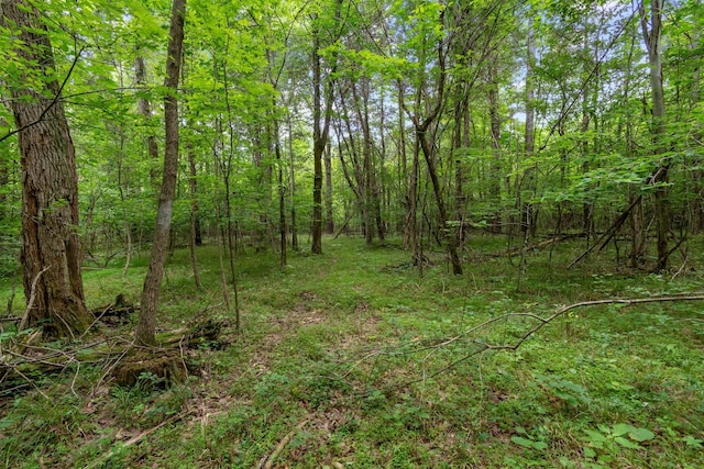 0 Lasea Rd, Spring Hill, TN 37174