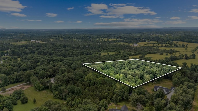 0 Lasea Rd, Spring Hill, TN 37174