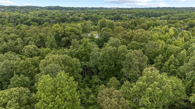 0 Lasea Rd, Spring Hill, TN 37174
