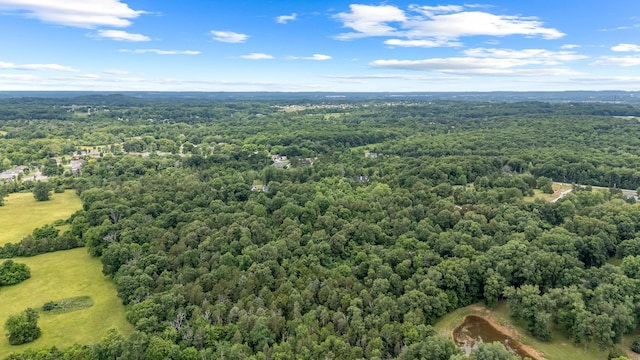 0 Lasea Rd, Spring Hill, TN 37174