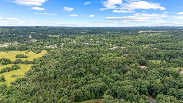 0 Lasea Rd, Spring Hill, TN 37174