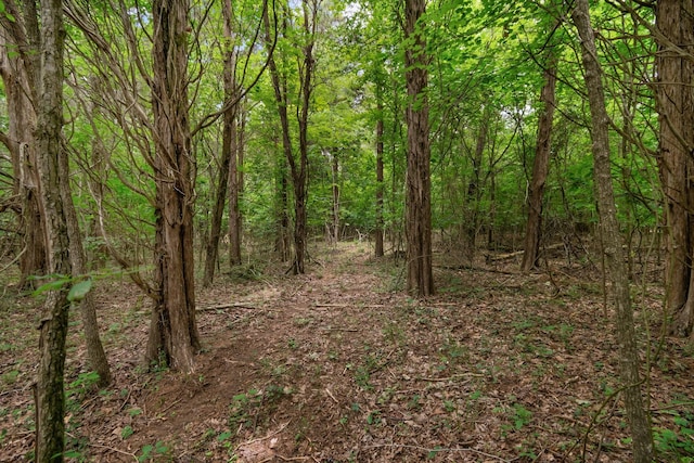 0 Lasea Rd, Spring Hill, TN 37174