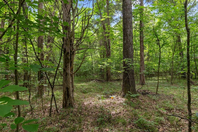 0 Lasea Rd, Spring Hill, TN 37174