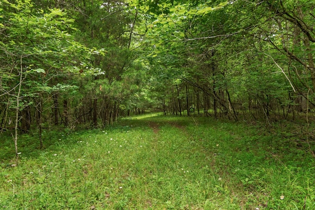 0 Lasea Rd, Spring Hill, TN 37174