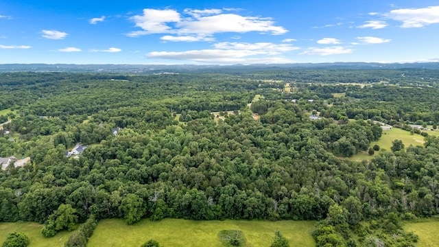 0 Lasea Rd, Spring Hill, TN 37174