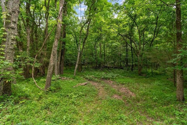 0 Lasea Rd, Spring Hill, TN 37174