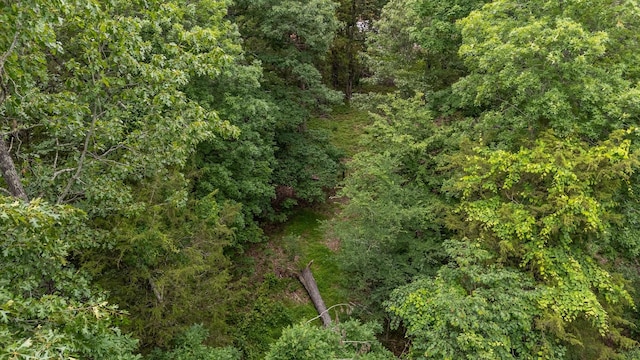 0 Lasea Rd, Spring Hill, TN 37174